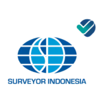 logo surveyor